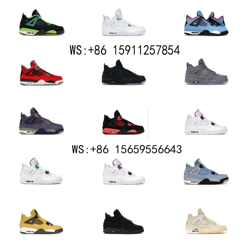 collection 1 (81)