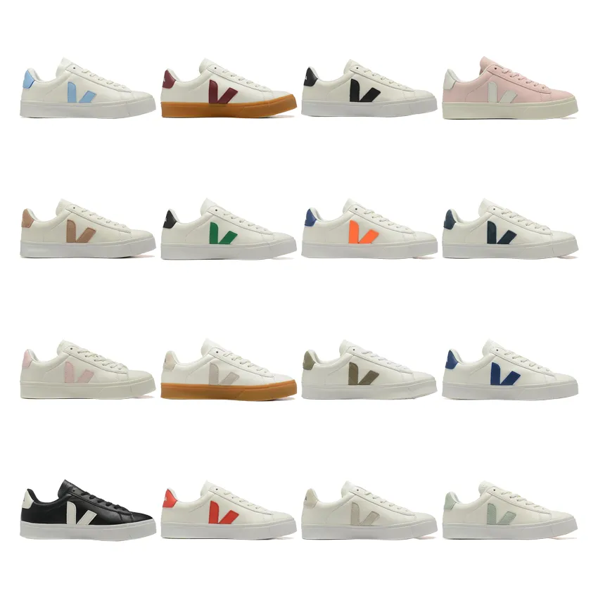 collection (31)